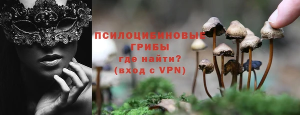 ECSTASY Волоколамск