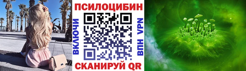 Купить закладки  Лодейное Поле  Галлюциногенные грибы прущие грибы 